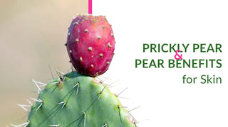 Prickly Pear Benefits for Skin