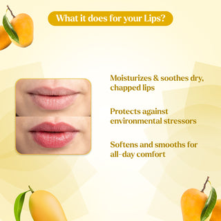 Lip Balm Pack of 2 Mango & Vanilla Lip Balm