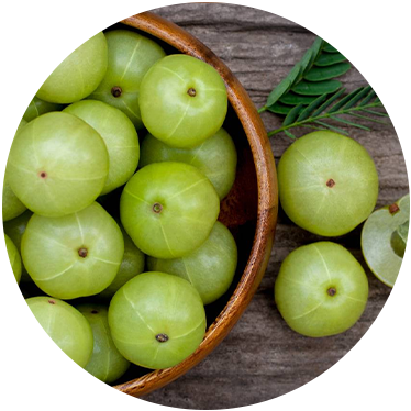 Amla