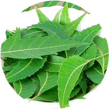 Neem: