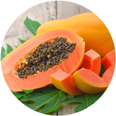 Papaya: