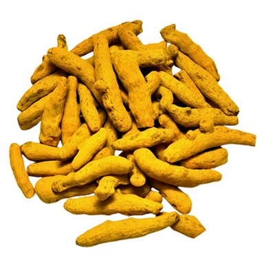 Turmeric